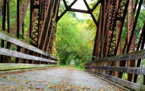 Upgrades to 900+ Miles of Wisconsin County Forest Roads Will Strengthen Economy